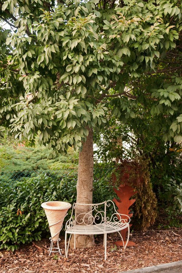 Anita Home Gyenesdiás Dış mekan fotoğraf